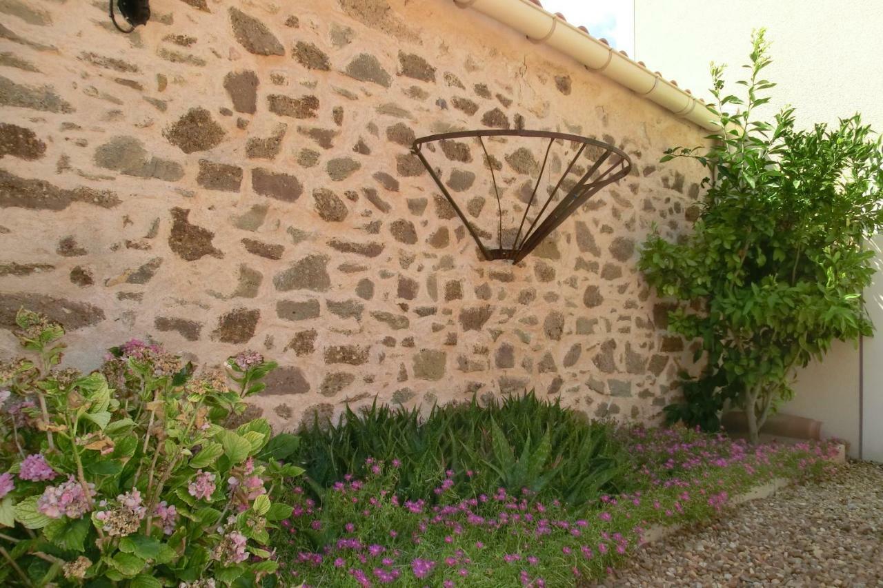 Gite Charlrose At La Platriere Cazedarnes Dış mekan fotoğraf