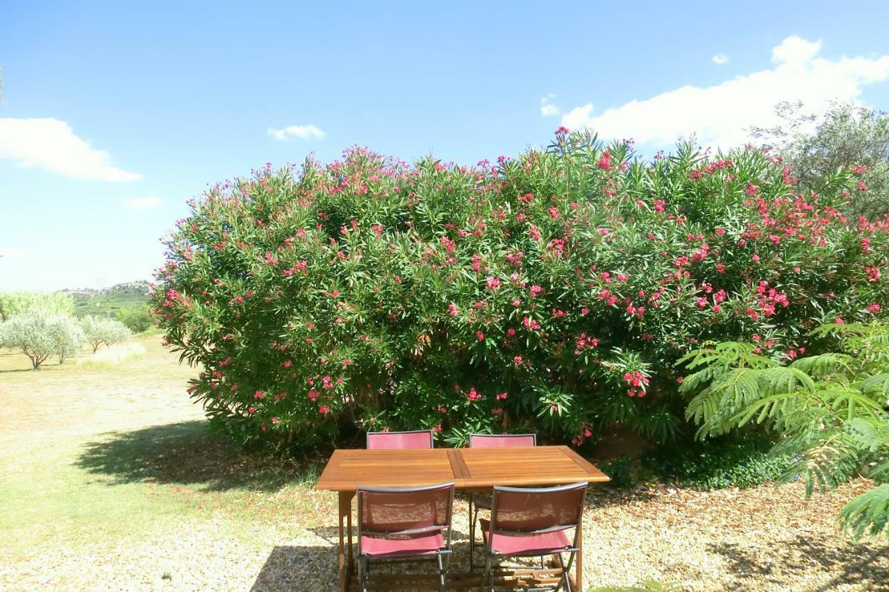 Gite Charlrose At La Platriere Cazedarnes Dış mekan fotoğraf